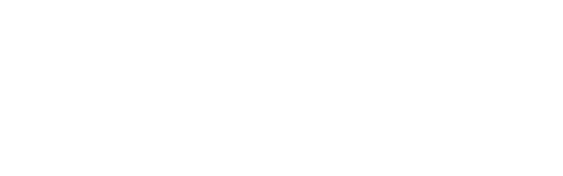 The Civic Federation